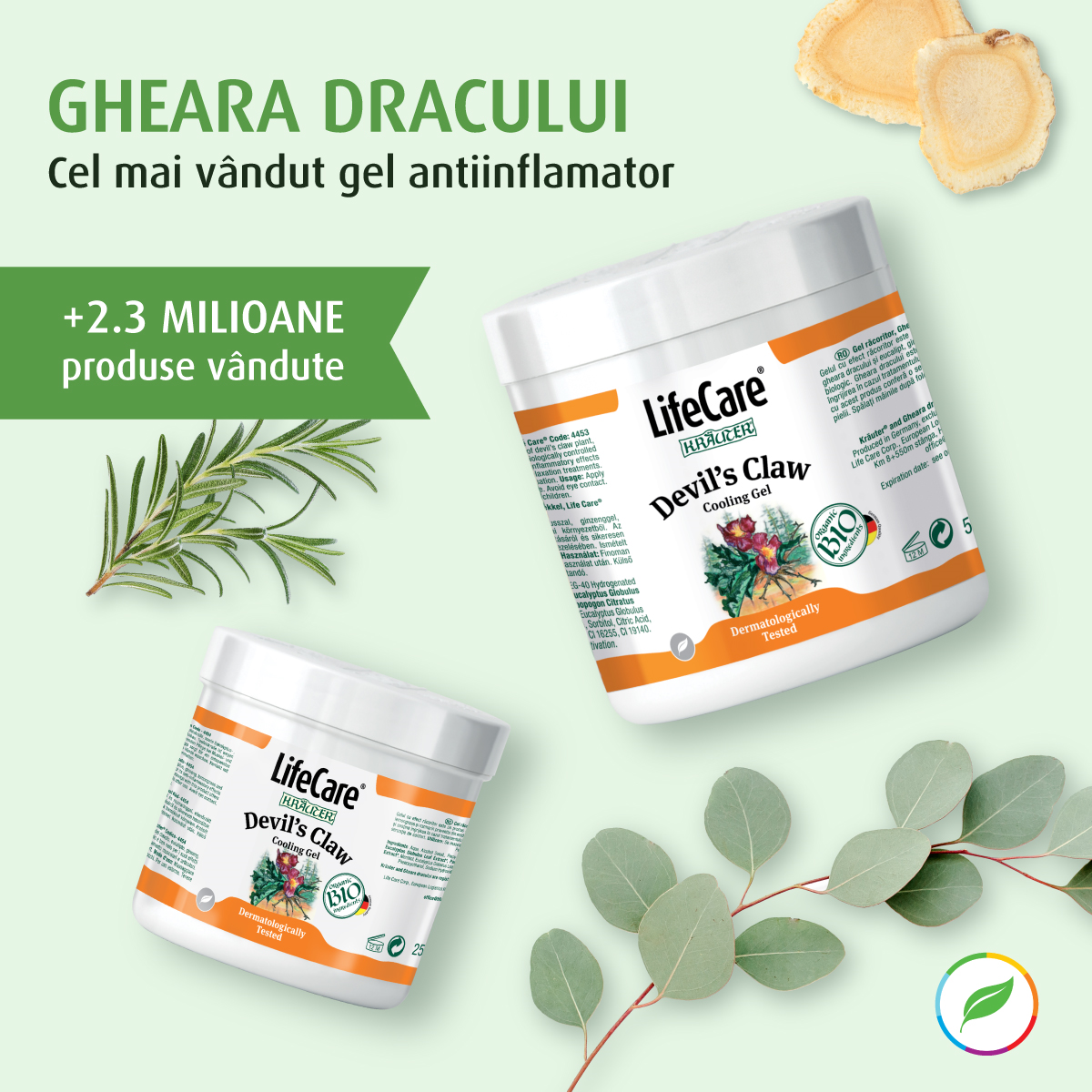 Gel răcoritor Gheara Dracului cu plante BIO Life Care® - relaxează musculatura și articulațiile
