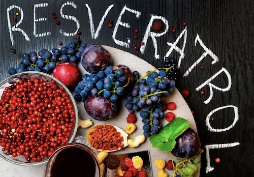 Resveratrol