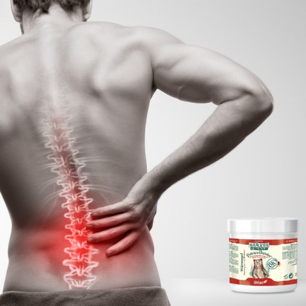 Gel încălzitor Puterea Ursului cu plante BIO Life Care® - efect antireumatic