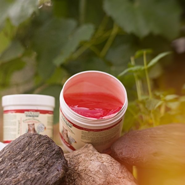 Gel încălzitor Puterea Ursului cu plante BIO Life Care® - efect antireumatic